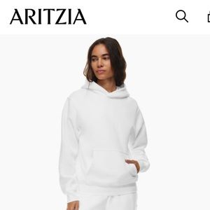 Aritzia Cozy Fleece Perfect Hoodie